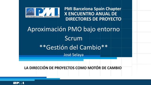 Diseño de PMO bajo entorno Scrum (C...