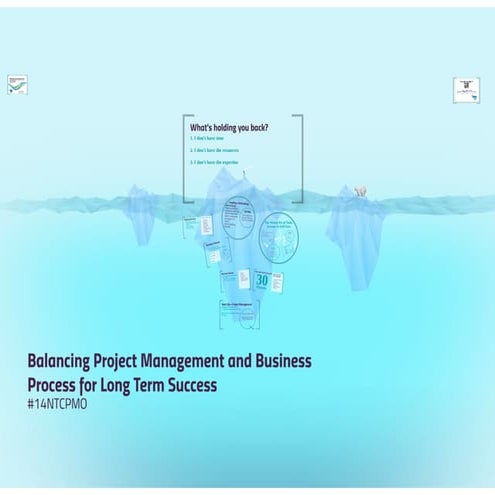 Balancing Project Management and Business Process for Long Term Success