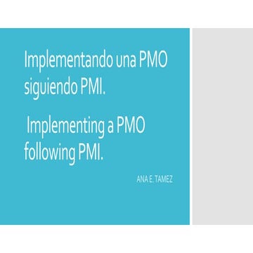 Implementing a new PMO (project mgmt office) 