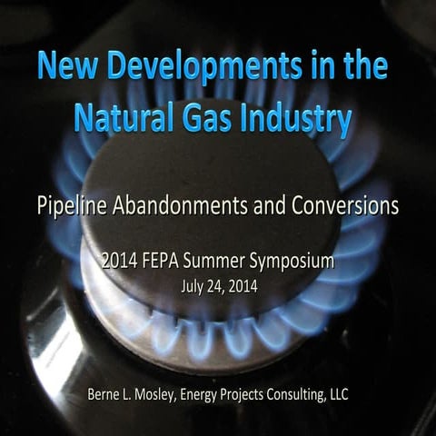 New Developments in the Natural Gas Industry