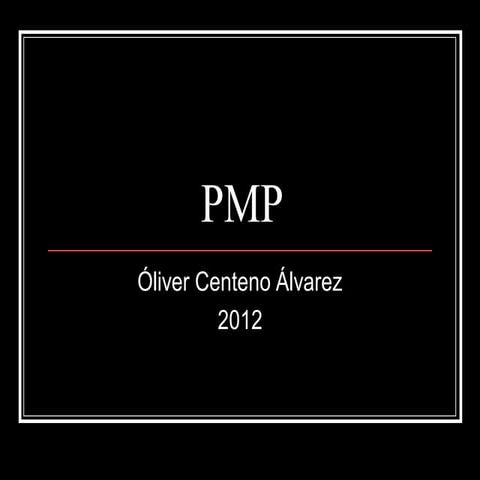 PMP, Project Management Professional