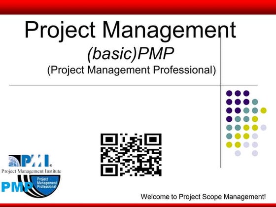 Pmp Processes network | PDF