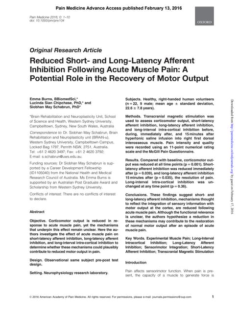 Reduced Short- and Long-Latency Afferent Inhibition Following Acute Muscle Pa...