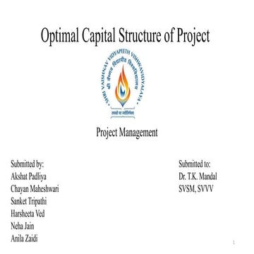 optimal capital structure