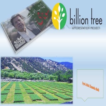 Billion Tree Tsunami Afforestation Project in KP
