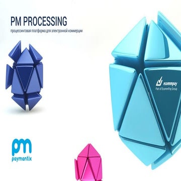 PM processing 03 2015(rus)