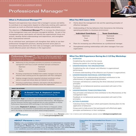 Professional Manager | PDF