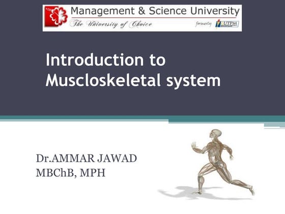 The musculoskeletal system | PPT | Death, Injury, or Military Conflict ...
