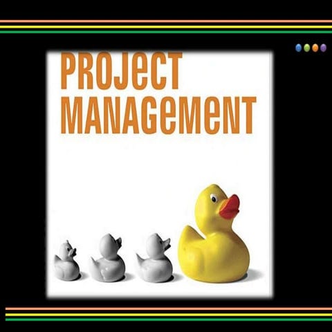 Project management