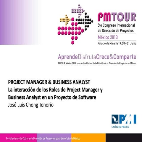 IN SPANISH - PMI´s PGBA | PDF