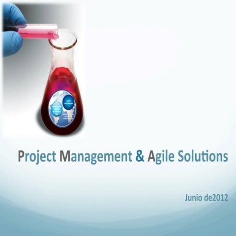 Project Management and Agile solutions