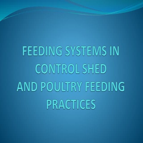 feeding system in control shed and poultry feeding practices