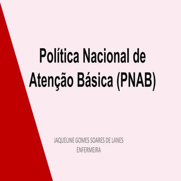 POLITICA NACIONAL DE ATENÇÃO BÁSICA - PNAB | PPTX
