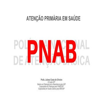 Pnab -programa nacional da Atenção básica | PPT