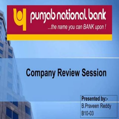 Punjab National Bank Ratio Analysis and company Analysis