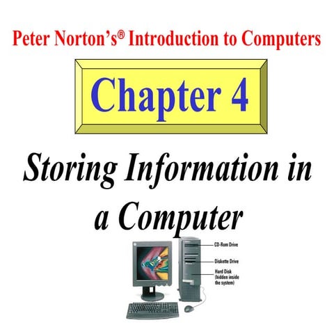 Storing Information in a Computer