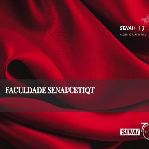 Estruturas e processos organizacionais  v 5.1