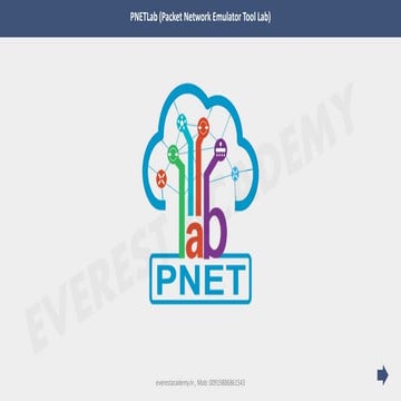 PNETLab.pdf
