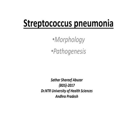 Pneumococcus (Morphology & Pathogenesis) | PPTX