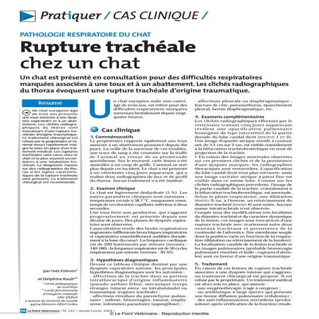 Pneumologie   rupture trachéale feline
