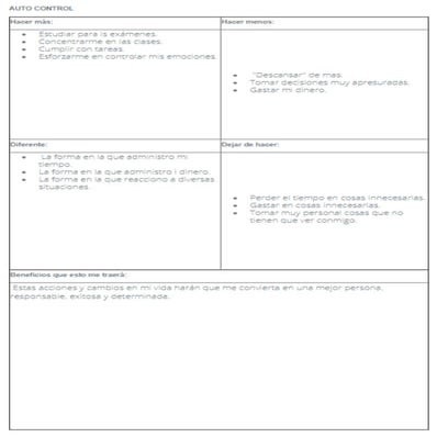 Autocontrol | PDF