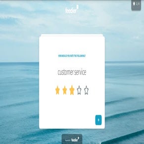 Feedier's Feedback forms | PDF
