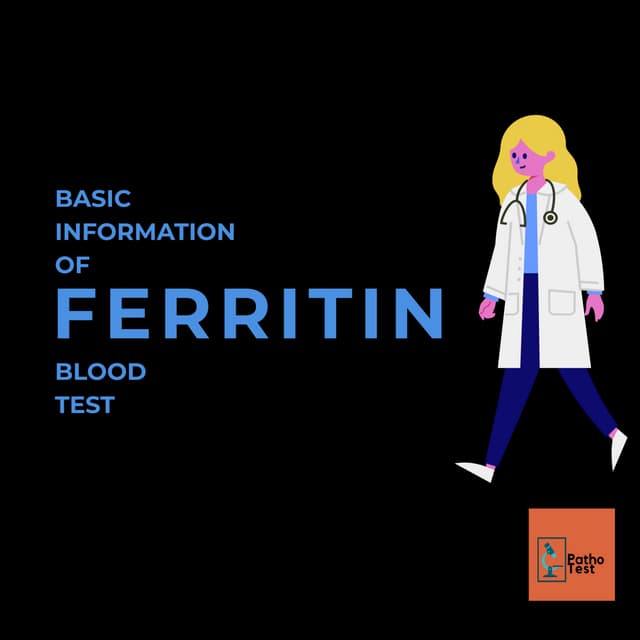 Ferritin blood test PDF