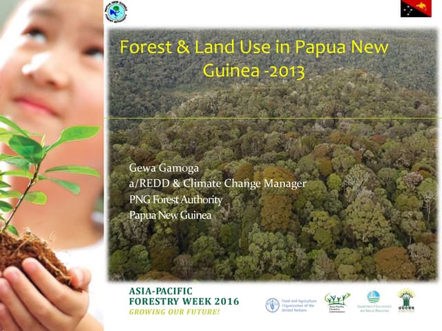 thumbnail of  Forest & Land Use in Papua New Guinea 2013