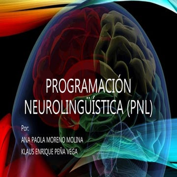 PNL 2 | PPTX