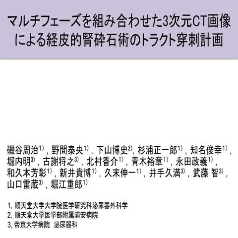 先進的な3D-cCTUによる，腎結石のPNL手術プランニング