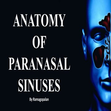 anatomy of Para nasal sinus with clinical anatomy
