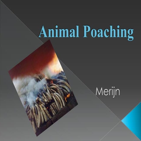 Poaching exhibition