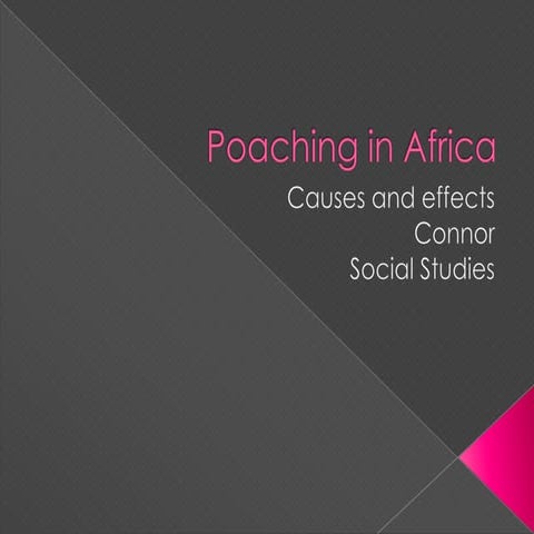 Help prevent poaching by Zack | PPT