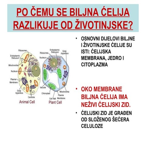 Ćelija | PPT