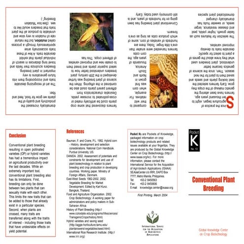 Pocket K13 (English).pdf