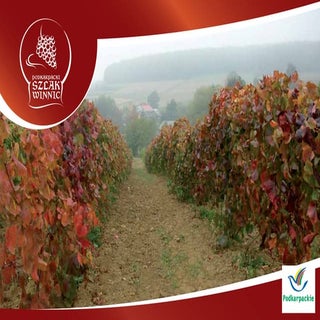  Podkarpacki szlak winnic