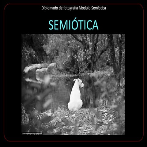 Connotativo y denotativo de la imagen