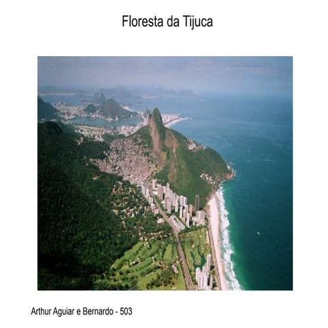 Bernardo e Arthur Aguiar