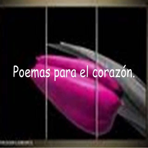 Poemas para el corazón