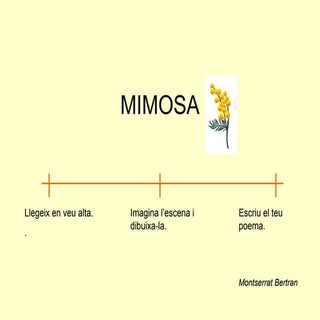 Poemes sobre la mimosa