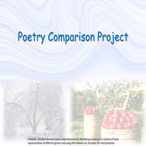 Poetry comparison project