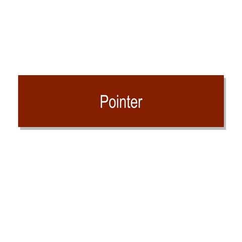 Pointer.ppt