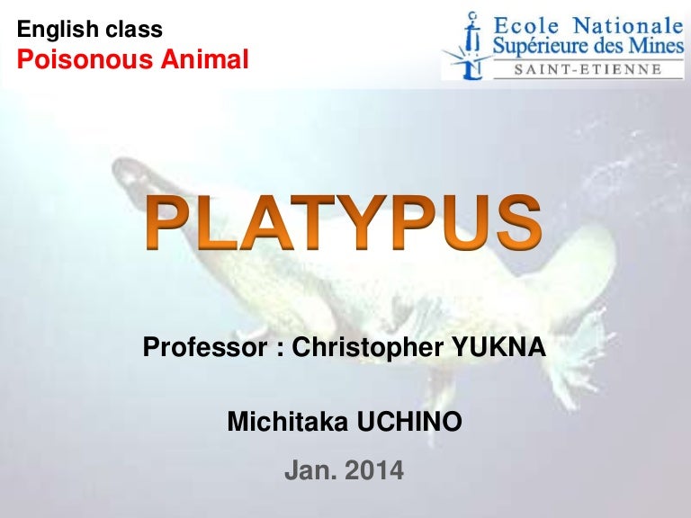 Platypus_Poisonous animal