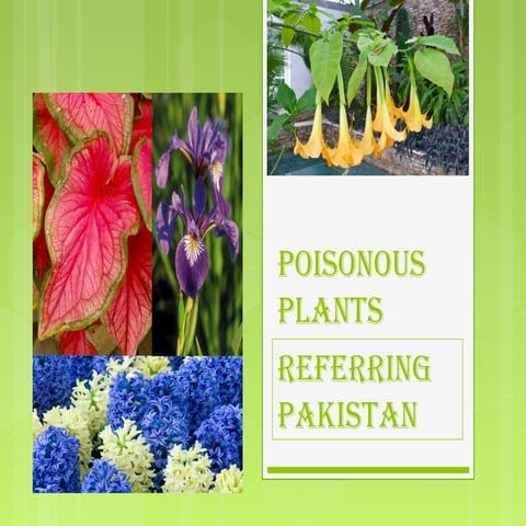 Poisonous plants | PPT