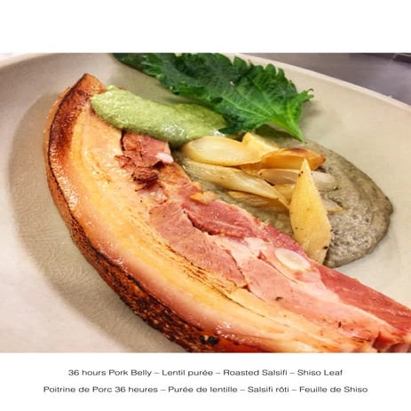 Evening Dessert - Apiales | PDF
