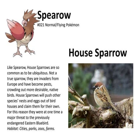 Pokemon vs Real-life Wildlife in the Metroparks