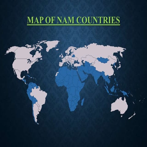 Non Aligned Movement