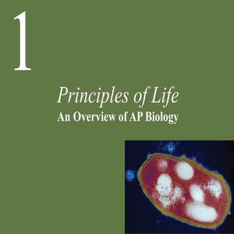 Po l2e ch01 lecture principles of life edited sphs