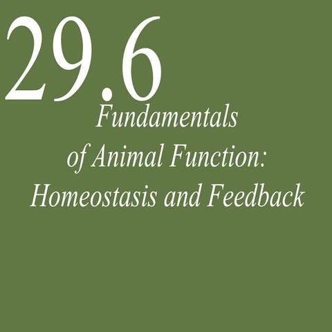 Po l2e ch29.6 lecture fundamentals of animal function homeostasis and feedback edited sphs