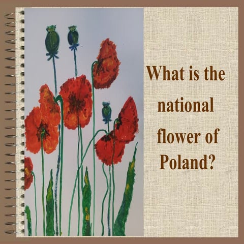 Quiz - Poland